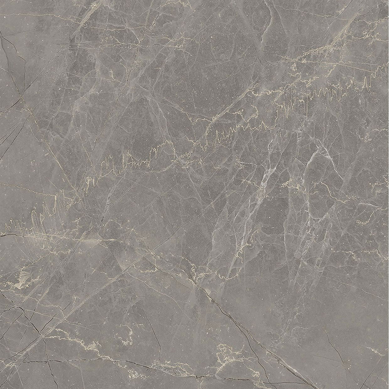 Etruscan Grey - NH46